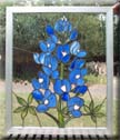 Texas Blue Bonnet